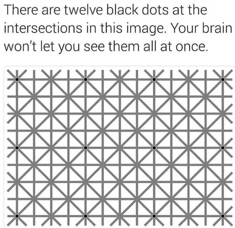 Optical illusion meme