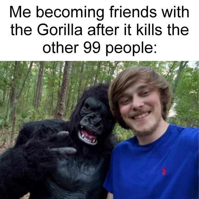 Gorilla wiped the squad but now we chillin - meme