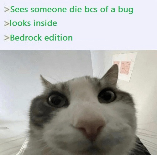 Saw someone die from a bug, checked Bedrock edition - meme