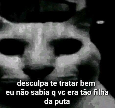 Vagabunda - meme