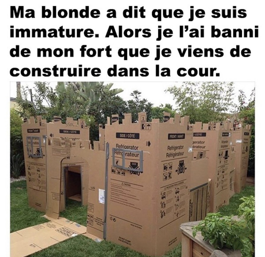 elle dit j’suis immature alors j’l’ai bannie de mon château en carton - meme