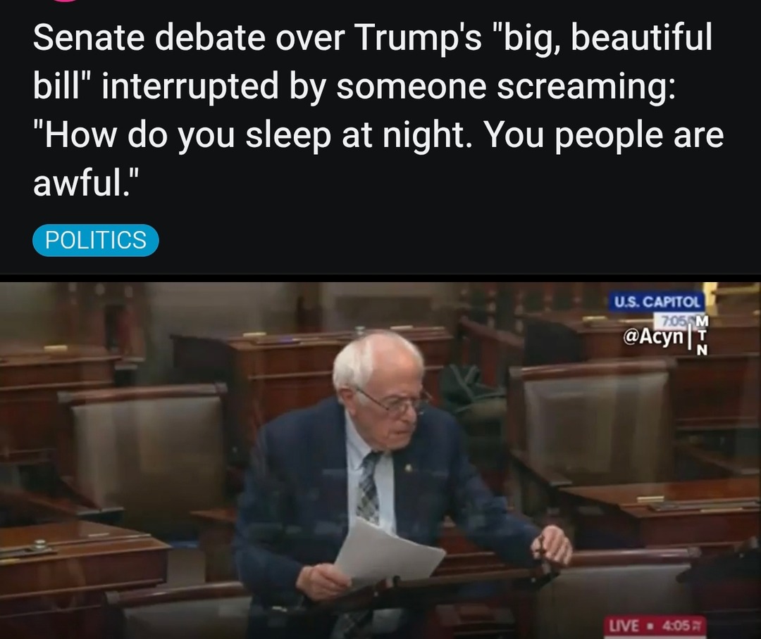 Senate debate chaos as heckler snaps - meme