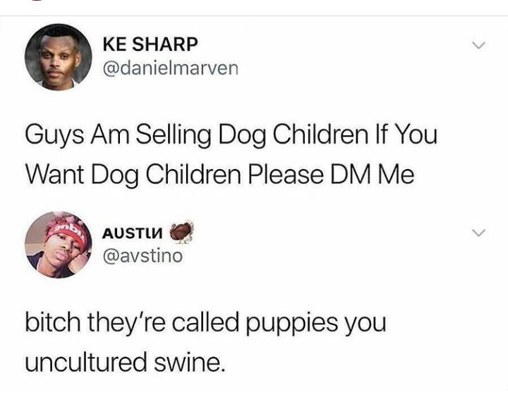 2nd comment is a dog child - meme