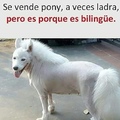 quiero ese pony ❤️