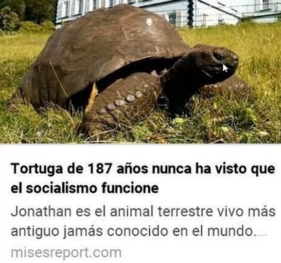 Meme