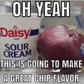 yum sour cream and jerry onion