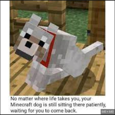 Your dog is waiting - meme