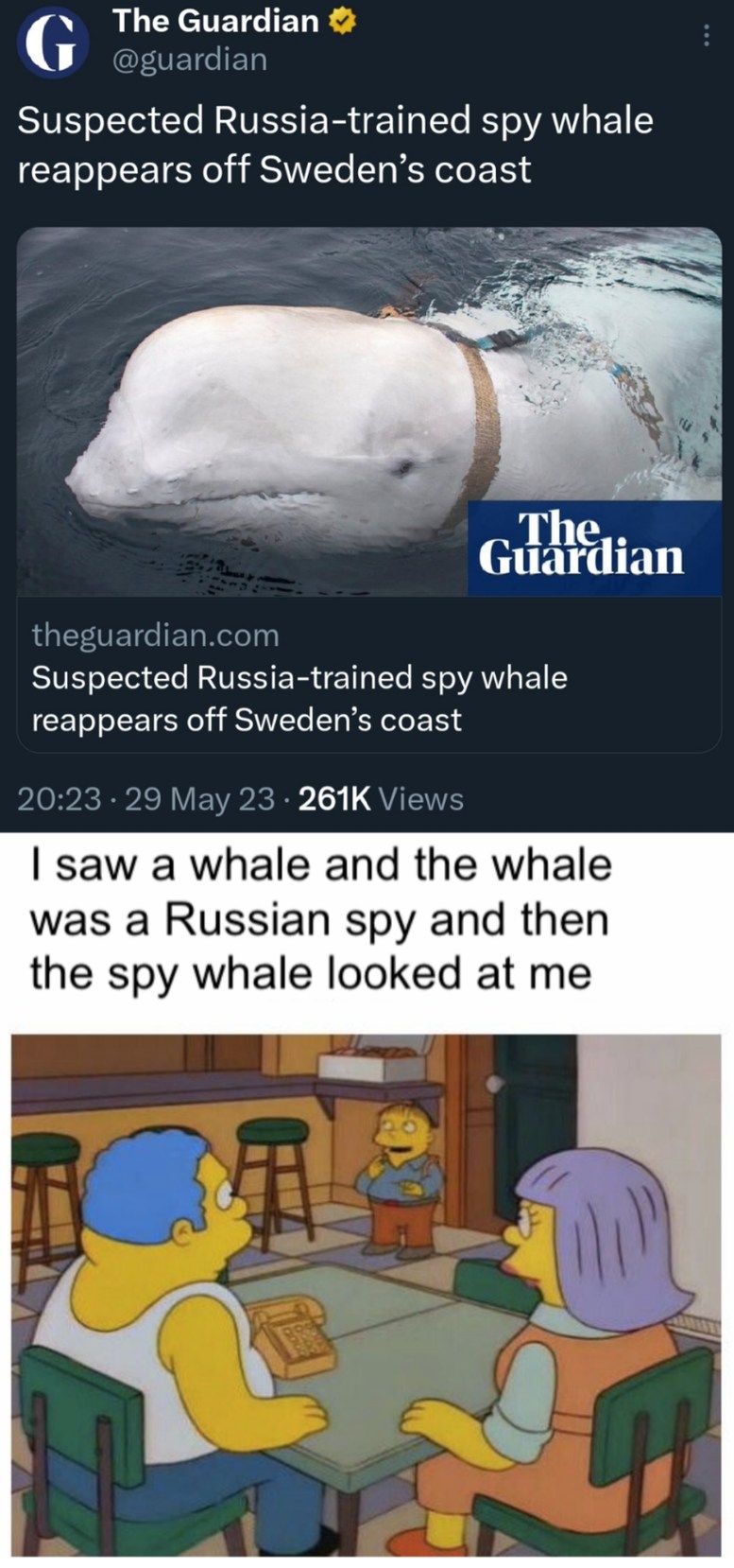 Spy whale goes brrr - meme