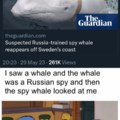 Spy whale goes brrr