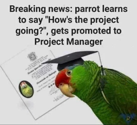 Project Manager meme
