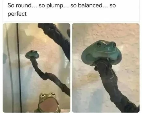 Wednesday balance - meme