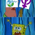 Stas feministas