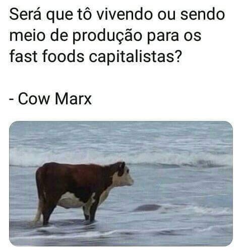 Cow marx - meme