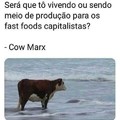 Cow marx