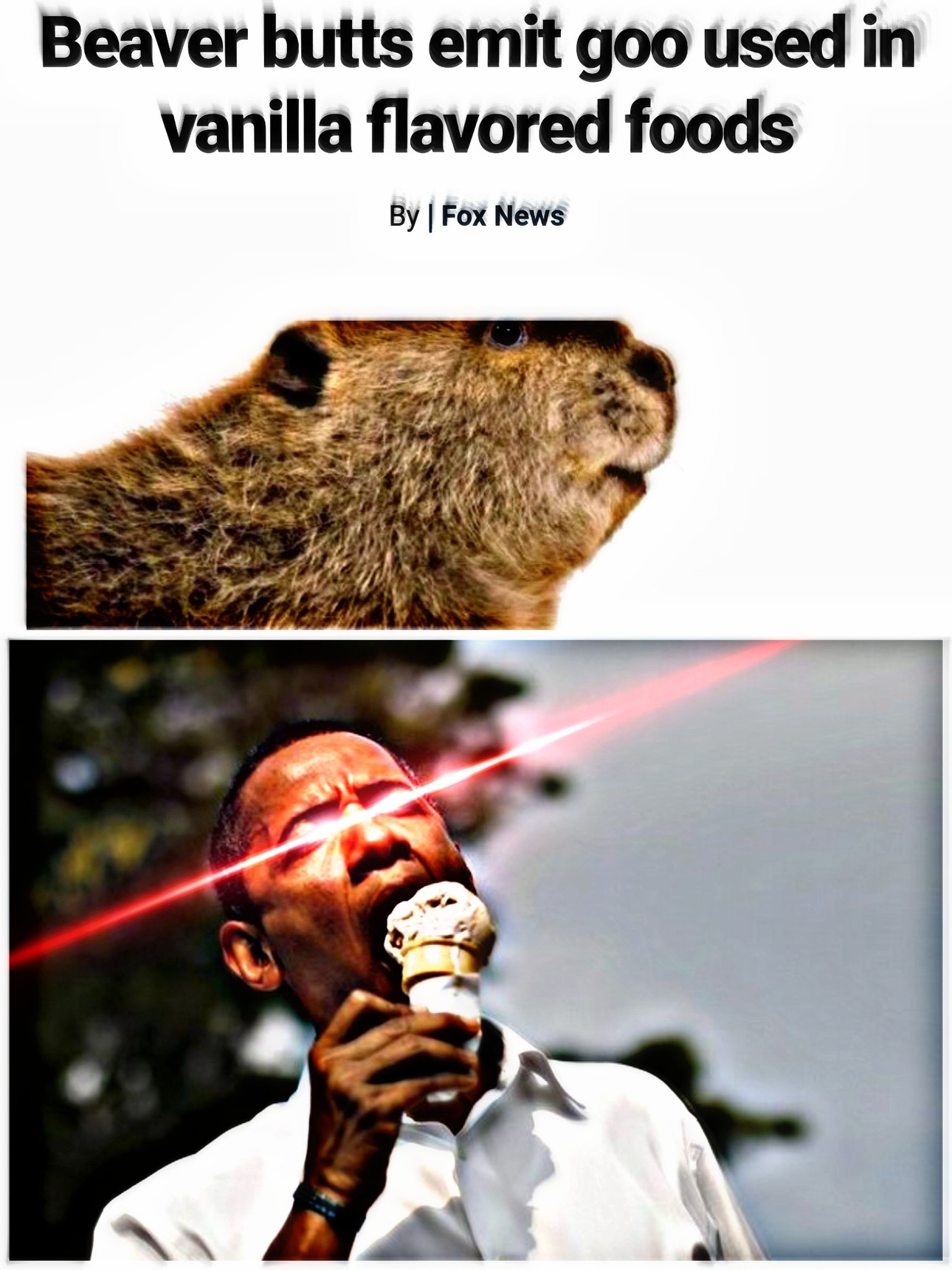 Beaver lickin good - meme