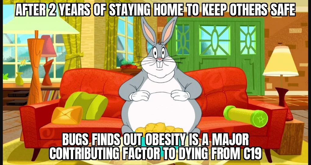 Diabetes bunny - meme