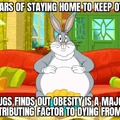 Diabetes bunny