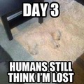 day 3 humans sTll think i´m lost