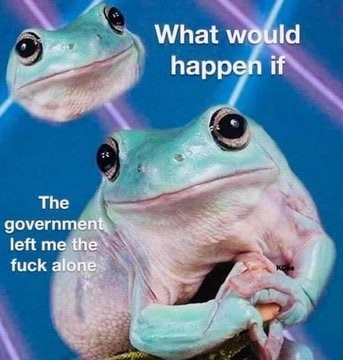 Frogger - meme