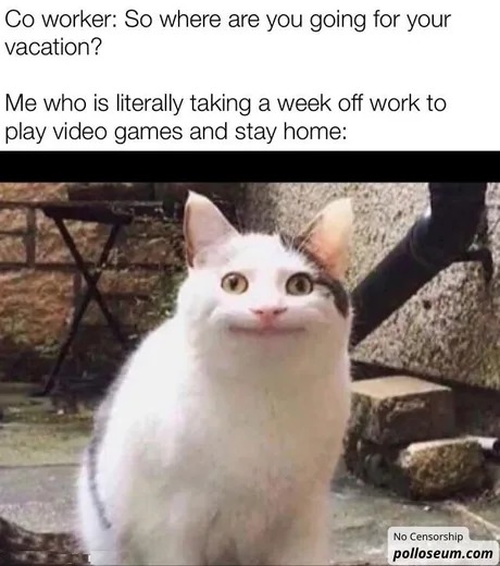 Where are you going for your vacation? - meme