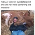 Friends with a cow