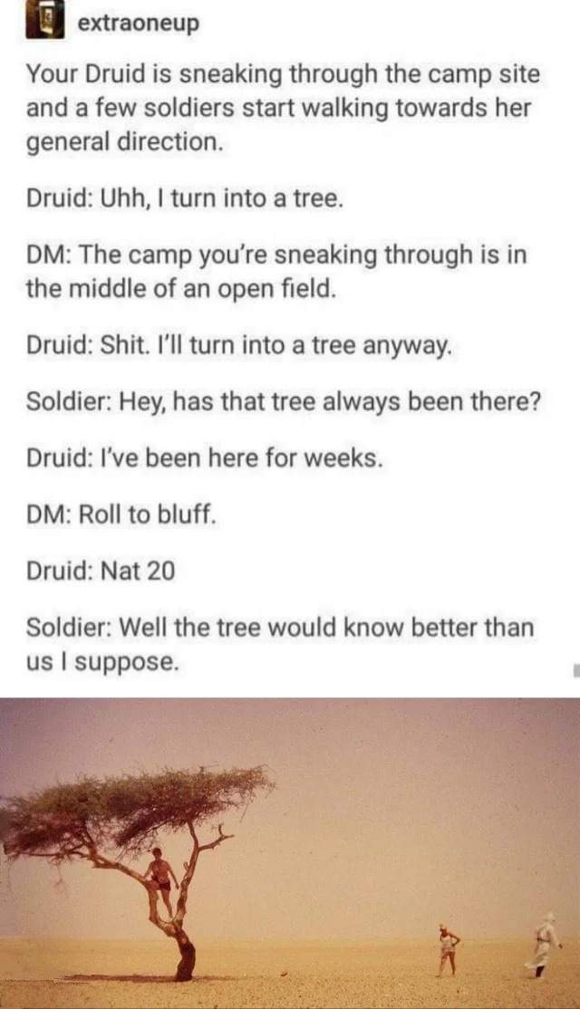 Druid - meme