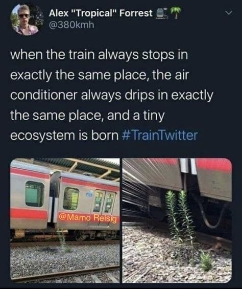 Train forming a small ecosystem - meme