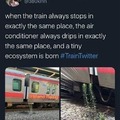 Train forming a small ecosystem