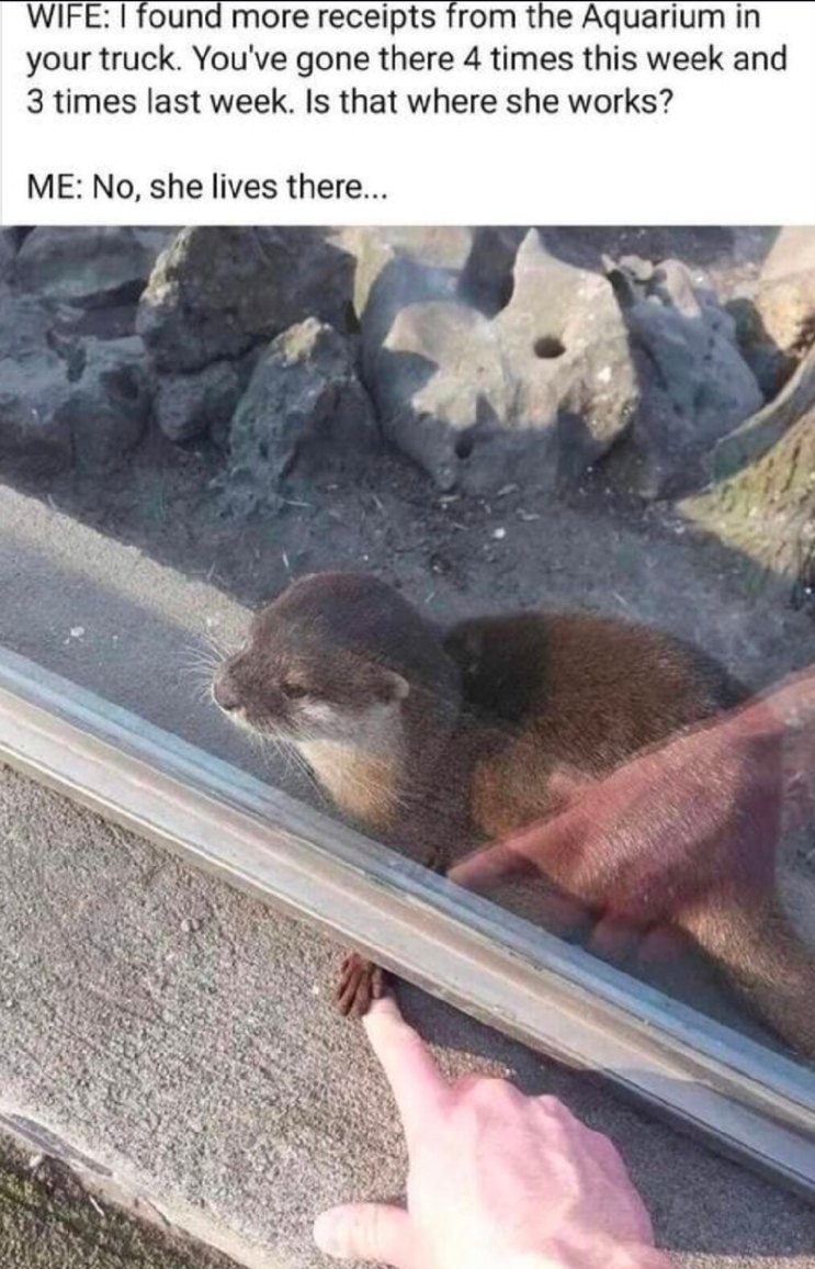 She doesn’t work at the aquarium, she lives there - meme