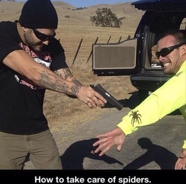 Spider problem solved - meme