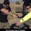 Spider problem solved