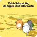The Sahara toilet.