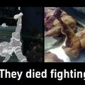 fighting died they both