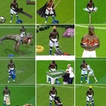 Balotelli was the best meme in a while