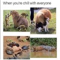 When you are chill with everyone | gagbee.com