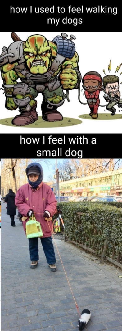 small ankle biting little shits - meme