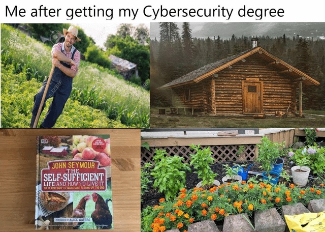 Cybersecurity degree made me build a cabin in the woods - meme