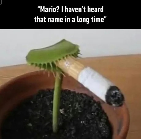 Mario? - meme