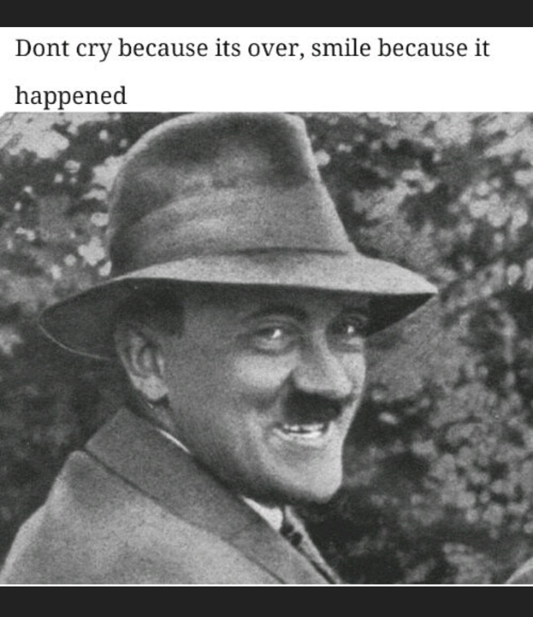 Herr führer is the hero we need - meme