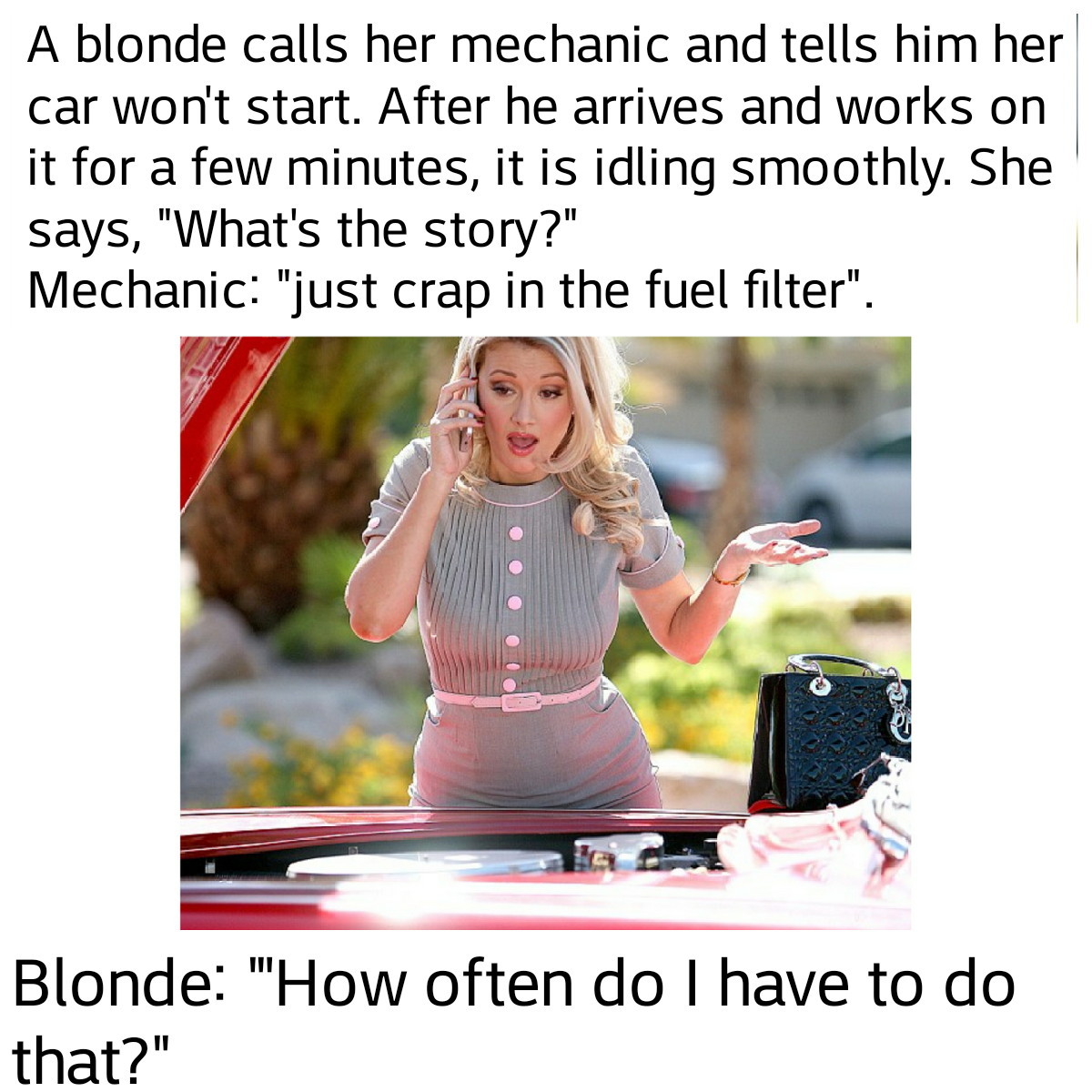 Blonde - meme