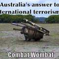 Combat wombat