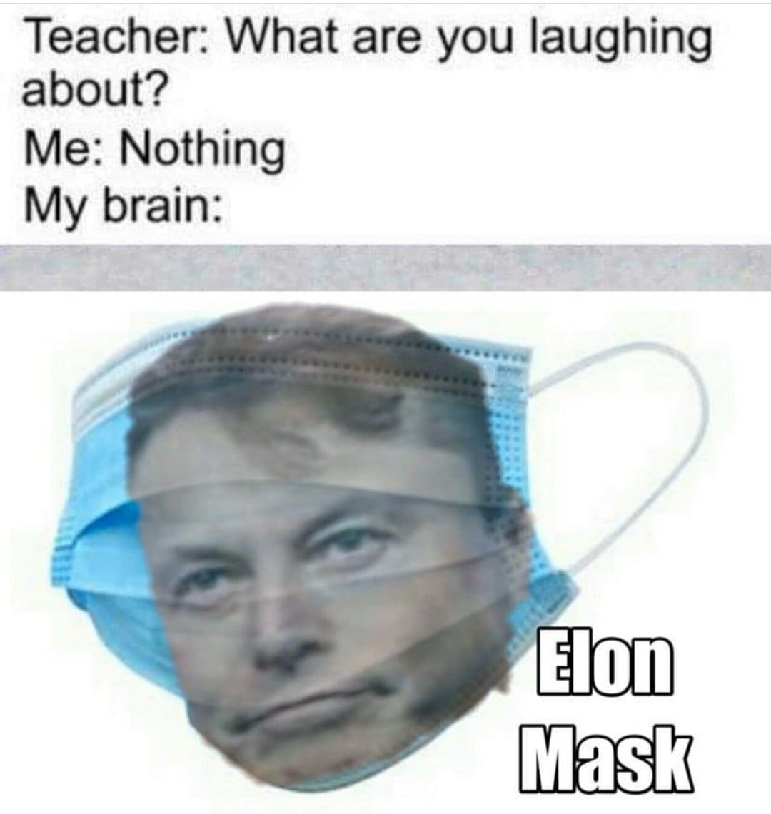 Elon MASK - meme