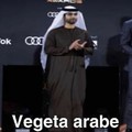 Vegeta árabe