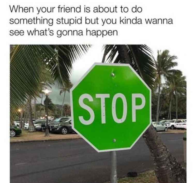 a green stop sign disturbs me - meme