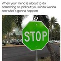 a green stop sign disturbs me