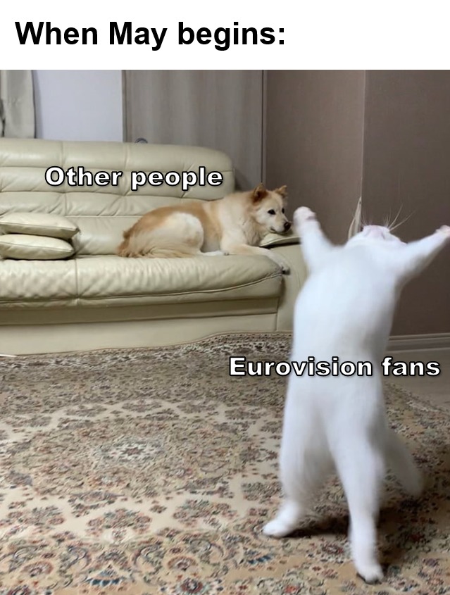 gran mes para los fans de eurovisión - meme