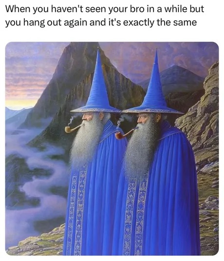 Wizard bros - meme