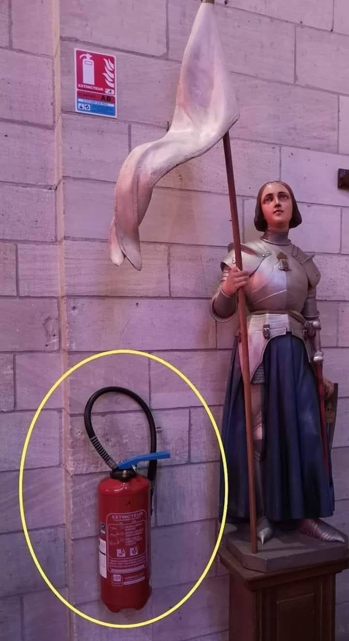 Si Juana de Arco le apareciera una rosa blanca sobre la hoguera: - meme