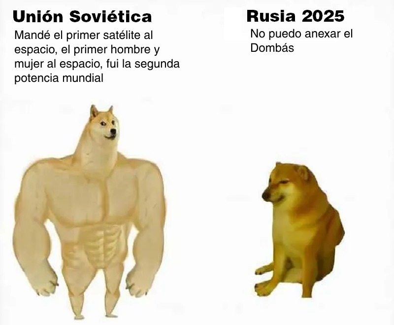 Rusia después de la desintegración de la unión soviética se volvió un tigre de papel - meme
