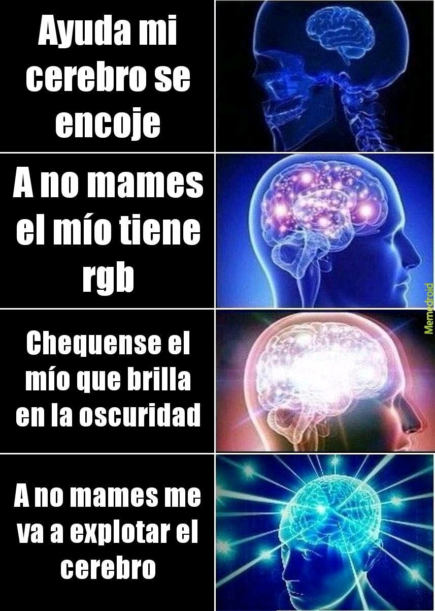 Pendejada - meme